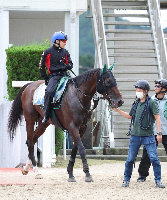 池添謙一を背に調教から引き揚げるサヴォーナ