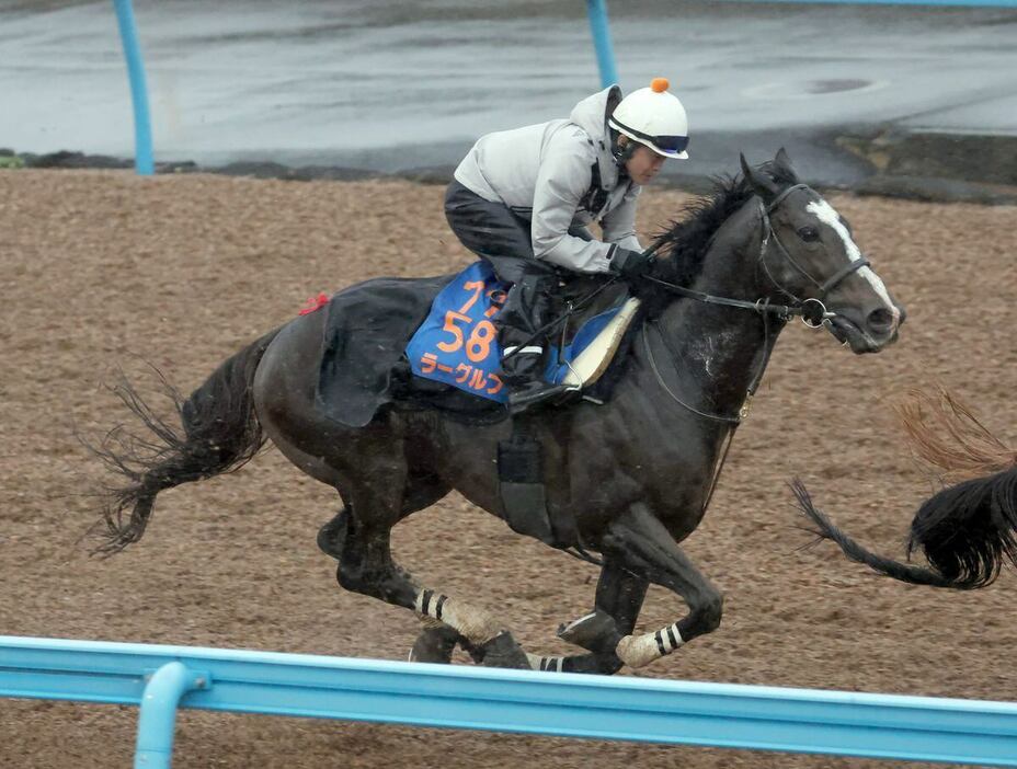 ラーグルフ＝美浦トレセン（撮影・塩浦孝明）