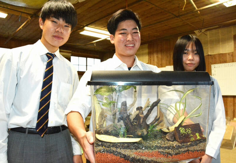 スズムシを飼育してきた同校生徒の（左から）佐藤瑞樹さん、松澤玲碧さん、小林桃花さん＝熊谷市大原3の熊谷農高で、2024年10月3日午後3時56分、安達恒太郎撮影