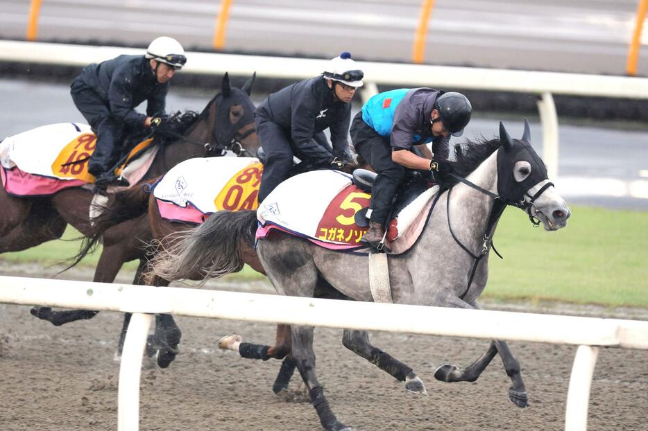 　３頭併せで調整したコガネノソラ（手前）