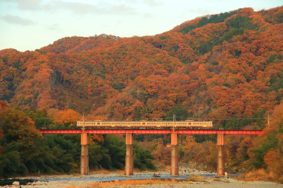 荒川橋梁を渡る秩父鉄道の列車。車窓からは荒川を見下ろし、11月中旬が見頃の紅葉を眺める