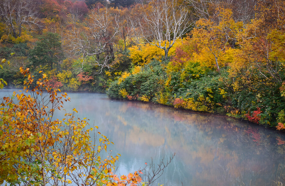 青森市の「地獄沼」で、周囲の紅葉が青い水面に映り込み、鮮やかなコントラストを見せている。沼は約８００年前の火山活動により形成された。強酸性の熱湯が湧き出ているため魚は生息していない＝１６日