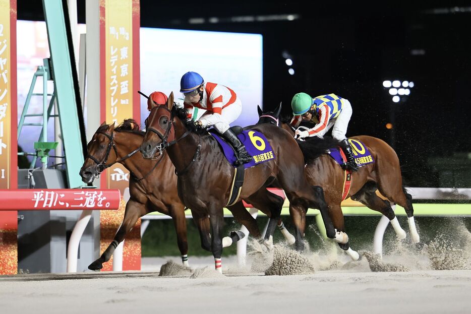 東京盃・チカッパと横山典弘騎手 (C)Hiroki Homma