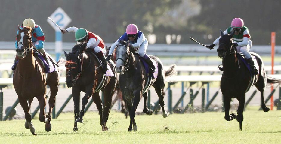 菊花賞で2着に入ったヘデントール（右端）左端は優勝したルメール騎手のアーバンシック