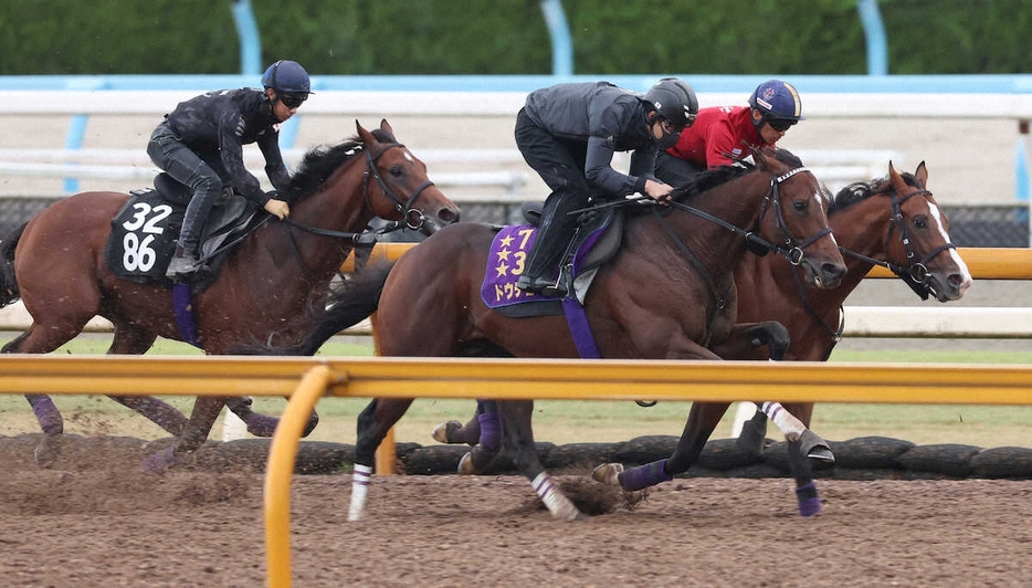 ＜天皇賞秋・2週前追い＞CWコースにて3頭併せで追い切るドウデュース（手前）。奥はメリオーレム（撮影・亀井　直樹）