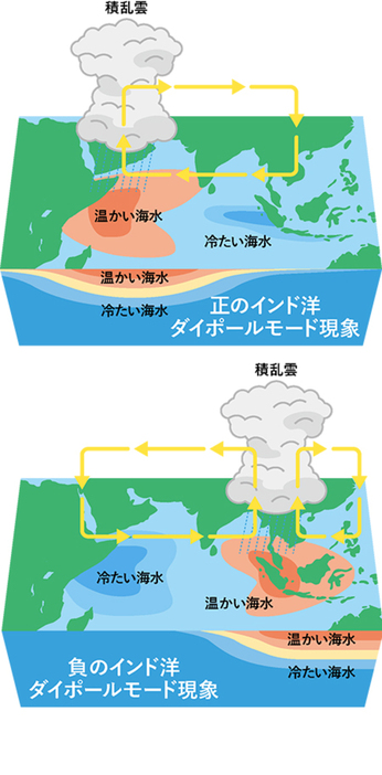 図:インド洋熱帯域の海面水温が、西部で平年より高くなり、南東部で平年より低くなる現象が「正のインド洋ダイポールモード現象」(上)。逆に、海面水温が西部で低くなり南東部で高くなる現象が「負のインド洋ダイポールモード現象」(下)。(図版:JAMSTEC提供……