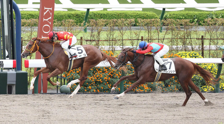 京都4R、逃げ切って新馬戦を制したビーコ。右は2着のバレンシア（撮影・白石智彦）