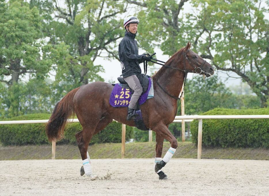 ダノンデサイル＝10月3日撮影　栗東トレセン（撮影・岩川晋也）