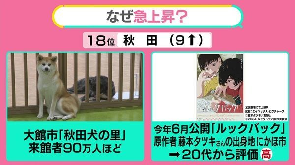 日テレNEWS NNN