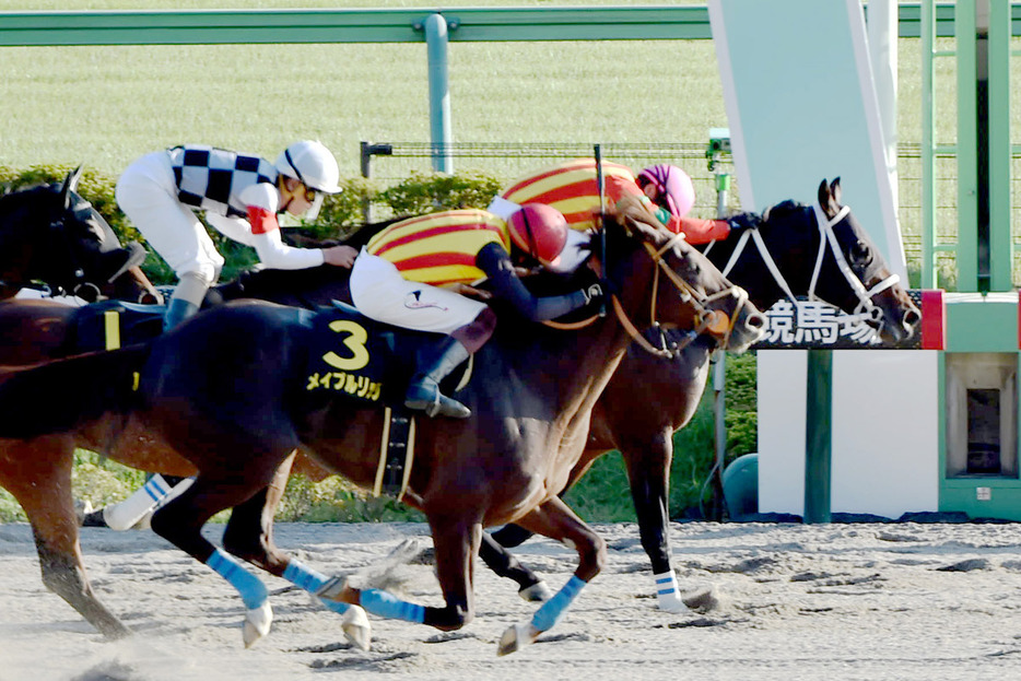 グロリアムンディ（右）が押し切って久々の勝利を飾った