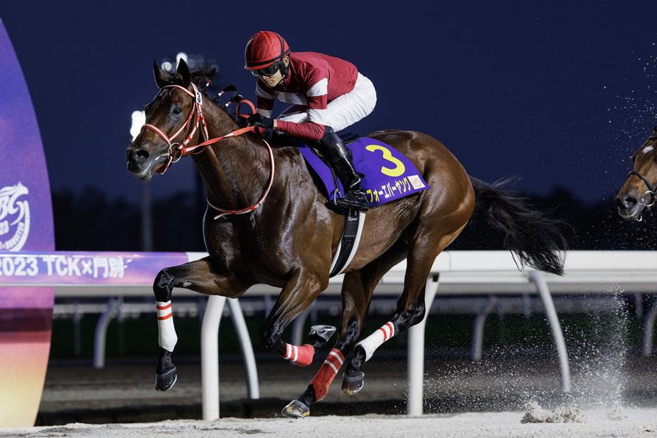 昨年の勝ち馬フォーエバーヤング（ホッカイドウ競馬提供）