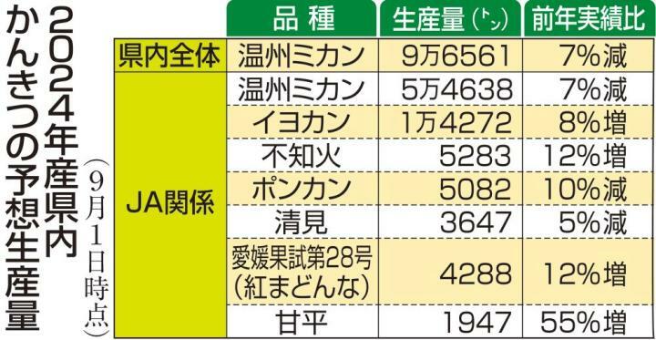 24年産の温州ミカン全国3位見通し　7％減9万6561トン予想（愛媛）