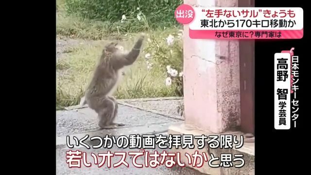 日テレNEWS NNN