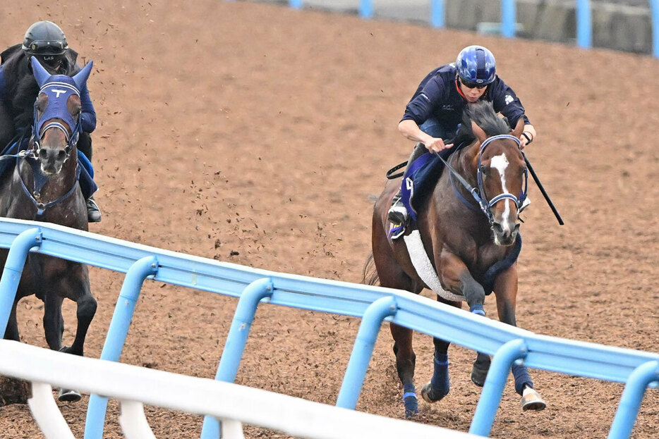 横山武を背に４馬身先着したソールオリエンス（右）