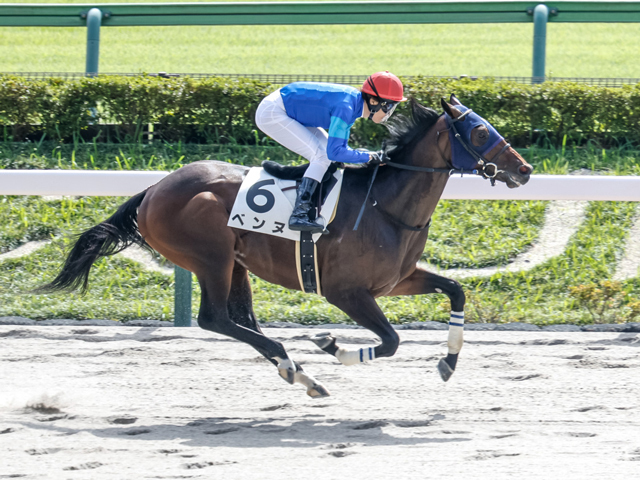 東京4R新馬戦を制したベンヌ(撮影：下野雄規)