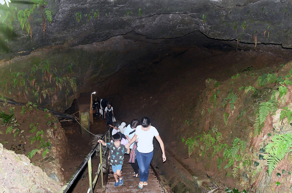 住吉暗川を見学する参加者＝19日、鹿児島県知名町