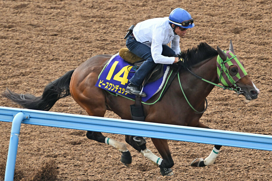 目下３連勝中と激走ムード漂うピースワンデュック