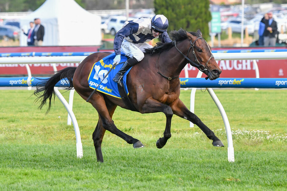 コーフィールドC・デュークデセッサとH.コフィー騎手（Photo by Pat Scala/Racing Photos）