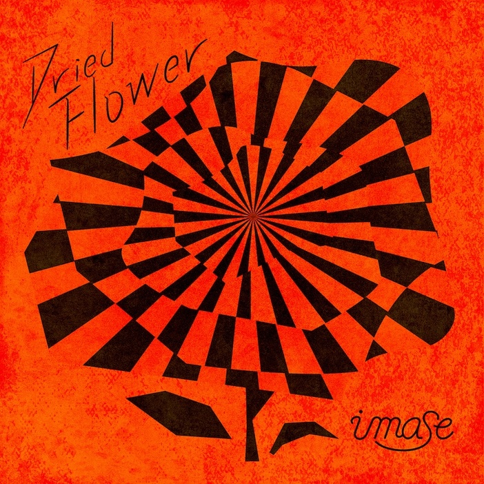 imase「Dried Flower」ジャケット