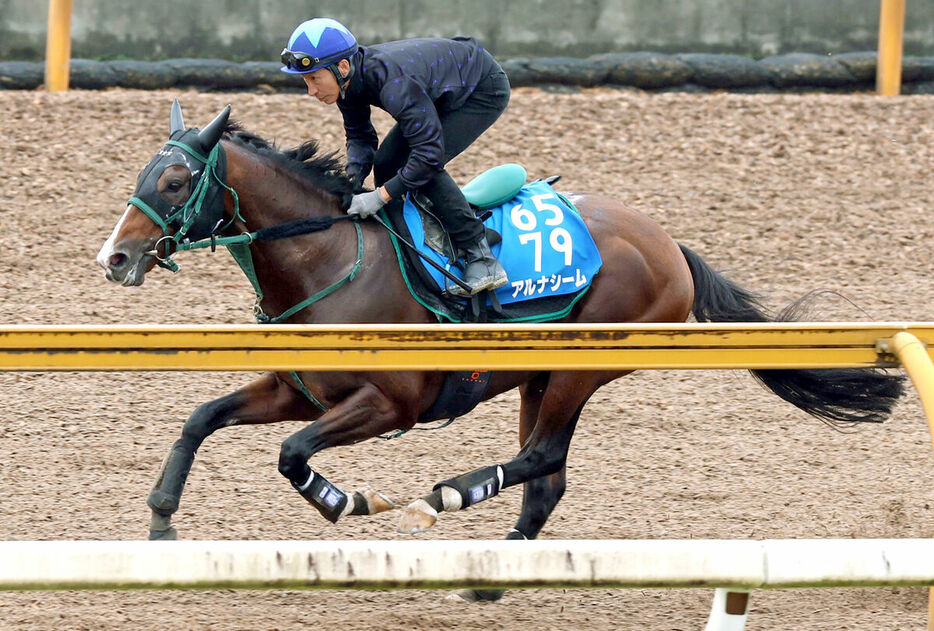 ＣＷコースで追い切るアルナシーム