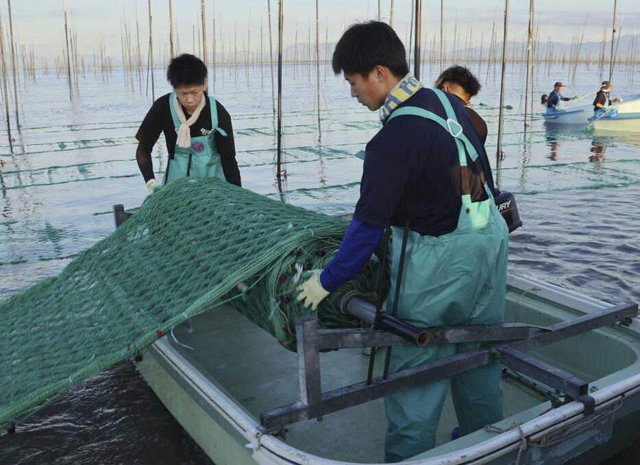 有明海にノリ網を広げる作業員＝18日早朝、佐賀市沖