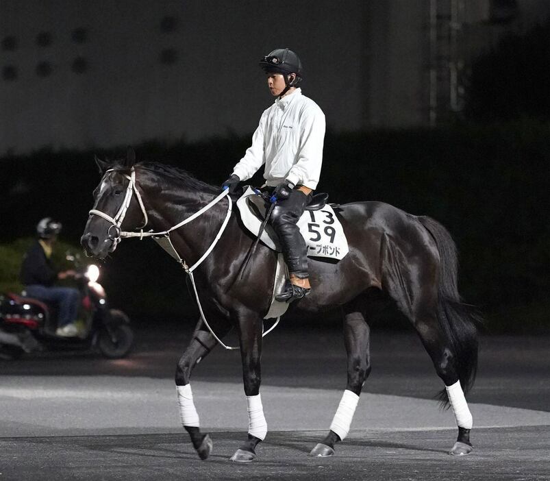 ディープボンド＝栗東トレセン（撮影・岩川晋也）