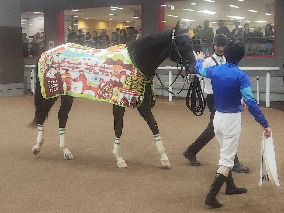 東京4R新馬戦を快勝したスナッピードレッサ（撮影・小田　哲也）