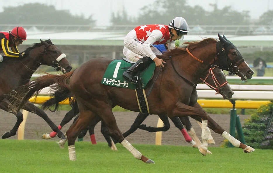 サウジアラビアRC・アルテヴェローチェと佐々木大輔騎手 (C)スポニチ