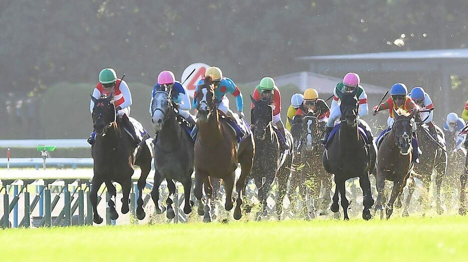 菊花賞はアーバンシックが優勝＝京都競馬場（撮影・岩川晋也）