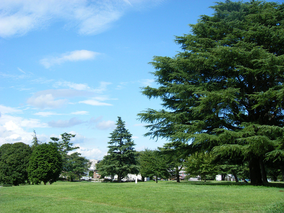 埼玉県営狭山稲荷山公園