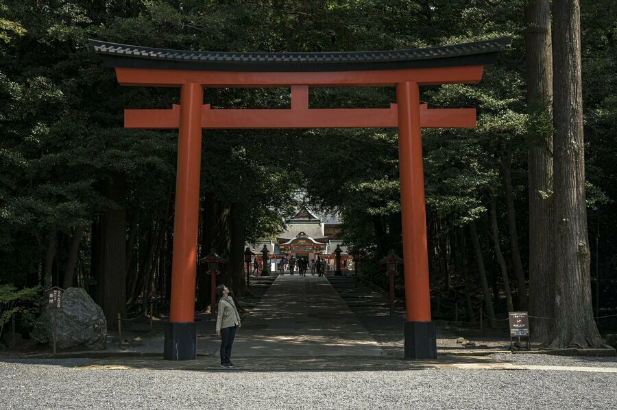 朱色の鳥居をくぐった森の奥に「霧島神宮」が鎮座されている