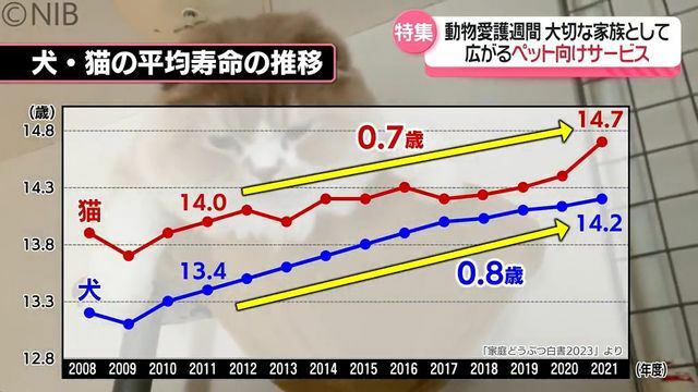 NIB長崎国際テレビ