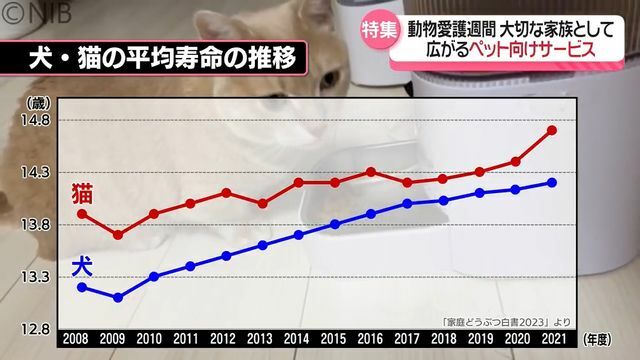 NIB長崎国際テレビ