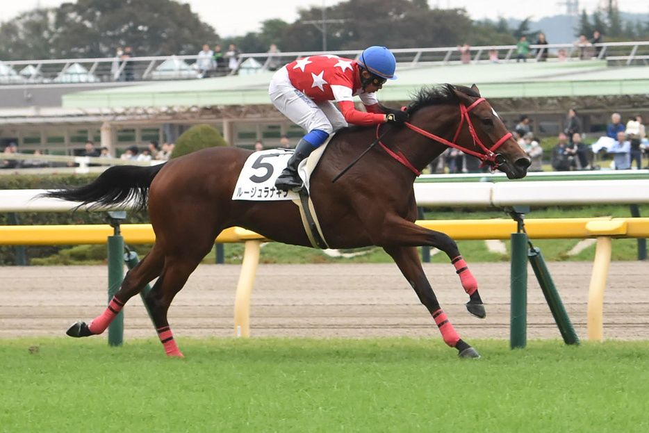 ルージュラナキラが鮮やかに逃げ切った