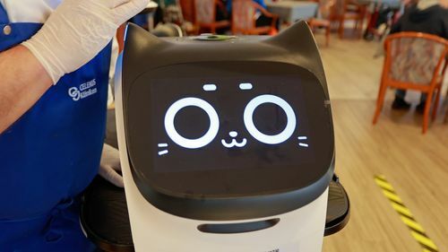 配膳ネコ型ロボット