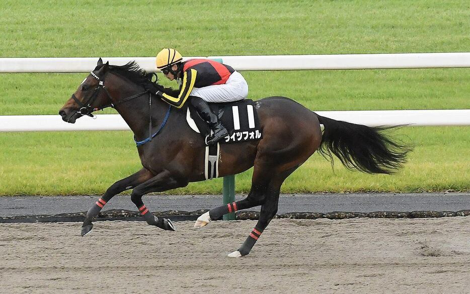 オータムリーフSで初オープン勝ちを果たしたライツフォル