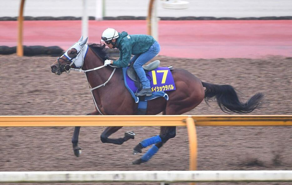 メイショウタバルは浜中騎手を背にＣＷコースで鋭く伸びた（撮影・岩川普也）