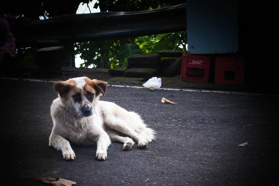 ※写真はイメージです - 写真＝iStock.com／christian_sutheja