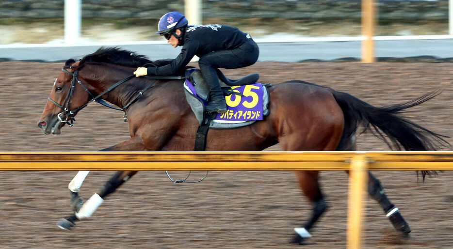 川田将が騎手が騎乗して抜群の動きを見せたリバティアイランド（カメラ・高橋　由二）