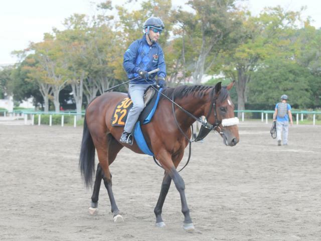 アロンズロッドが26日東京で初陣(撮影：竹之内元)