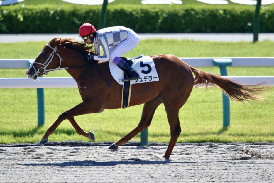 京都3R・フェデラーと武豊騎手