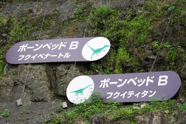 恐竜化石の発掘地点表示が実感を深める