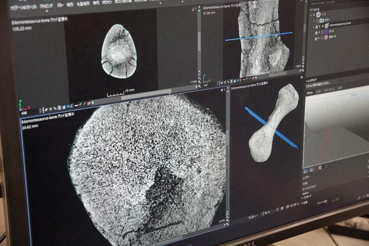 CTスキャンしたデータを3D化して断面を分析する