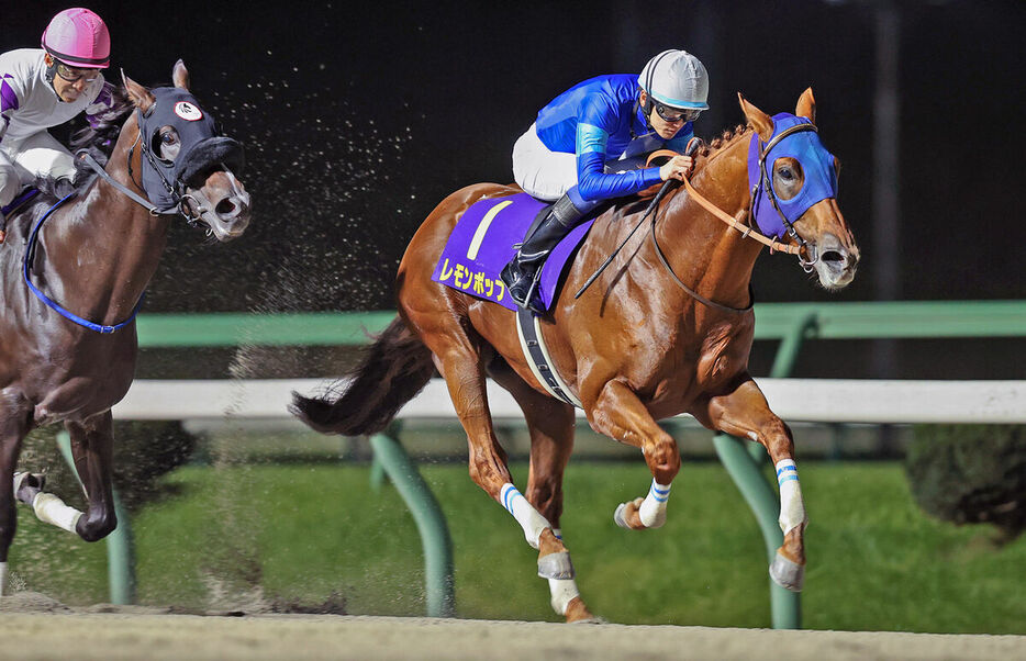 南部杯を制したレモンポップ（右、岩手県競馬組合提供）