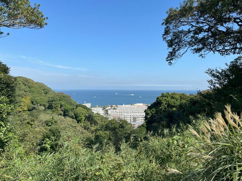 青い海と空を望む公園が探索地。シイやカシなどの照葉樹が多い場所です