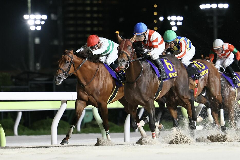 東京盃・チカッパと横山典弘騎手 (C)Hiroki Homma