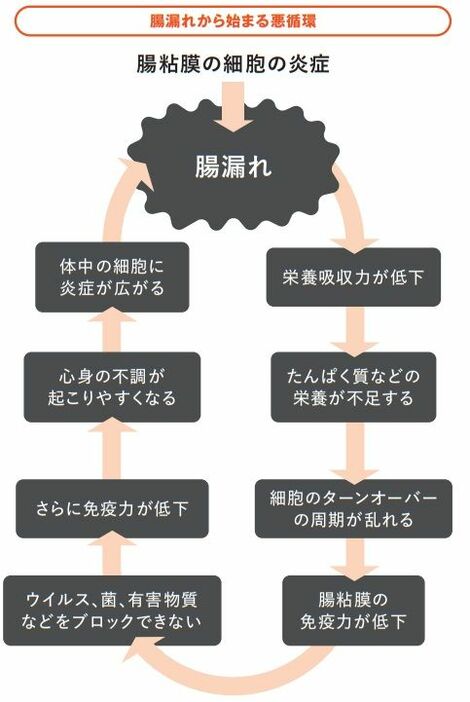 ＜『たんぱく質と腸の新常識:絶対に漏らしてはいけない新しい腸活とたんぱく質の正しい摂り方』より＞