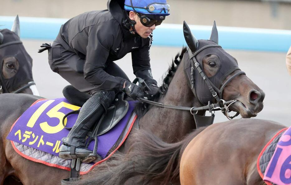 ヘデントールは絶好の手応えで僚馬２頭と併入。初コンビの戸崎圭太騎手をうならせた