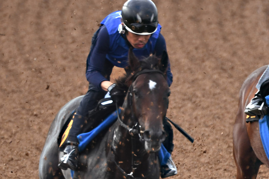 ３冠牝馬アパパネを母に持つアマキヒ