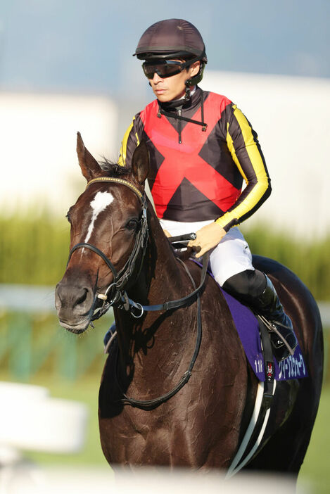 川田将雅騎手騎乗のクイーンズウォークは１５着（カメラ・岩田　大補）